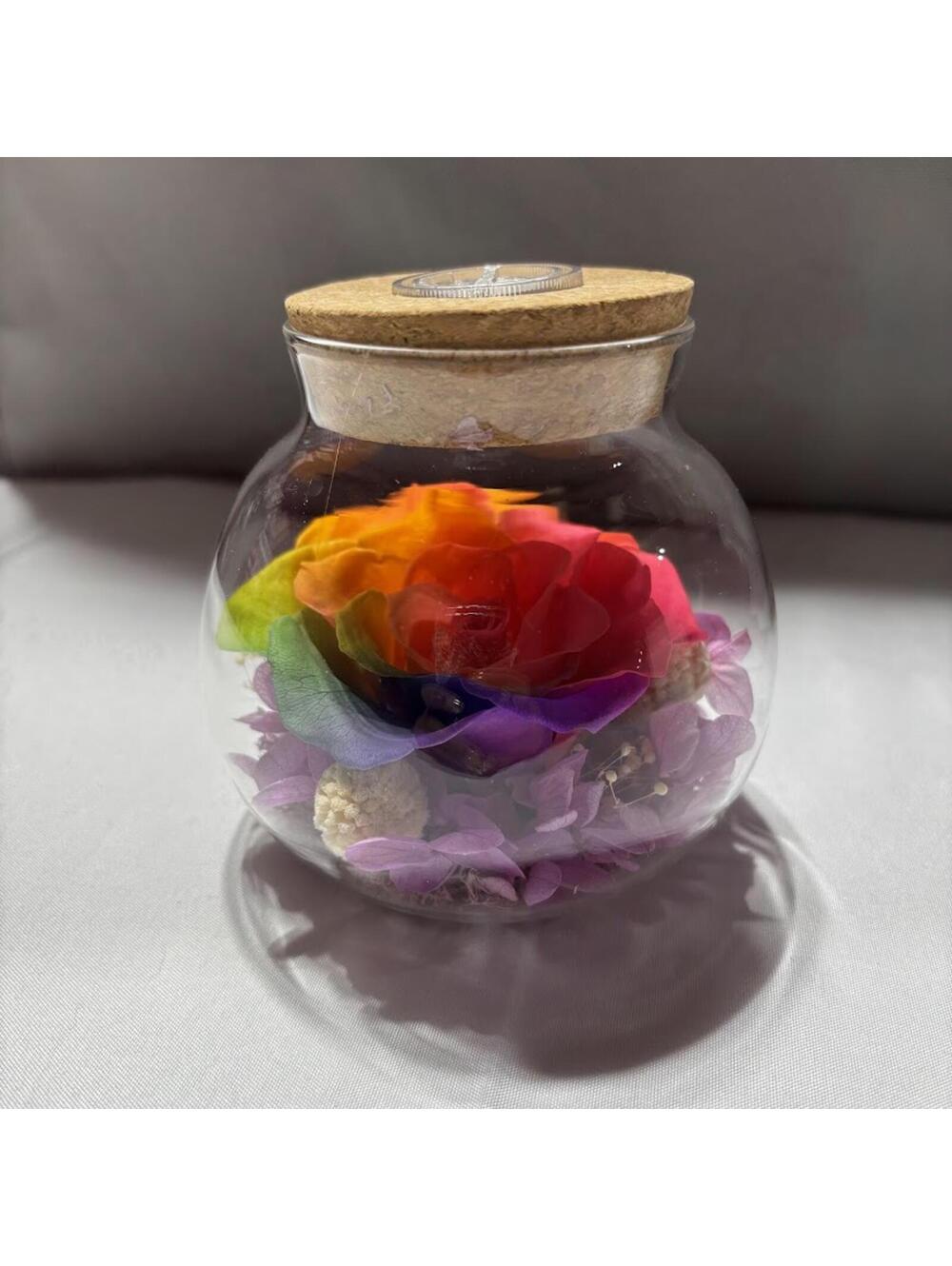 Preserved rainbow rose in glass jar
